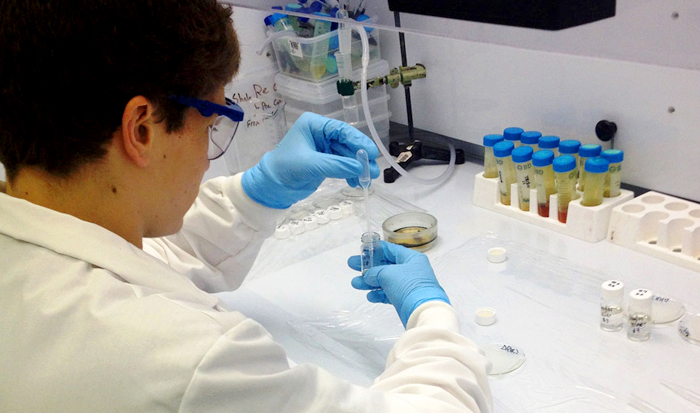 John DeGuardi '16 isolates isotopes to determine the age of a black shale sample.